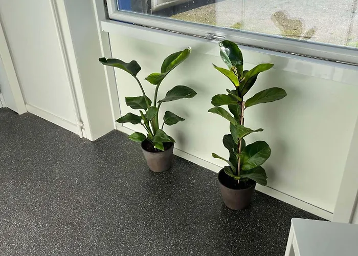 Mini 8 - Close To Lego House And Legoland Hostal